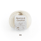 CamWool 3