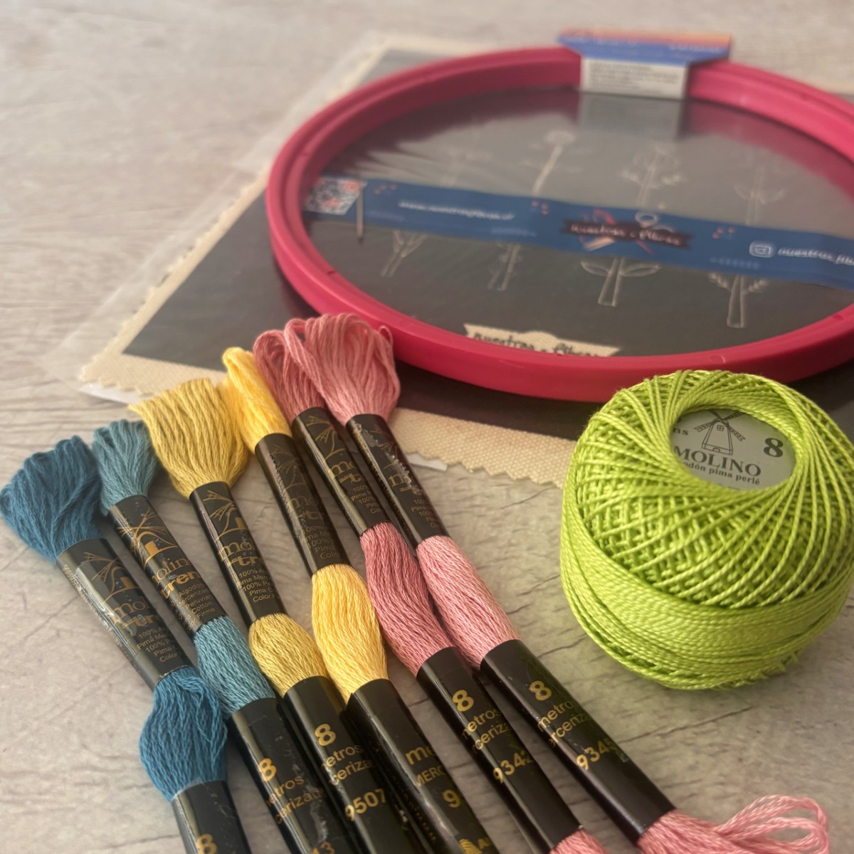 Kit de Bordado Floral Completo | Bastidor Pony + Hilos Tren de Algodón Pima Peruano 2