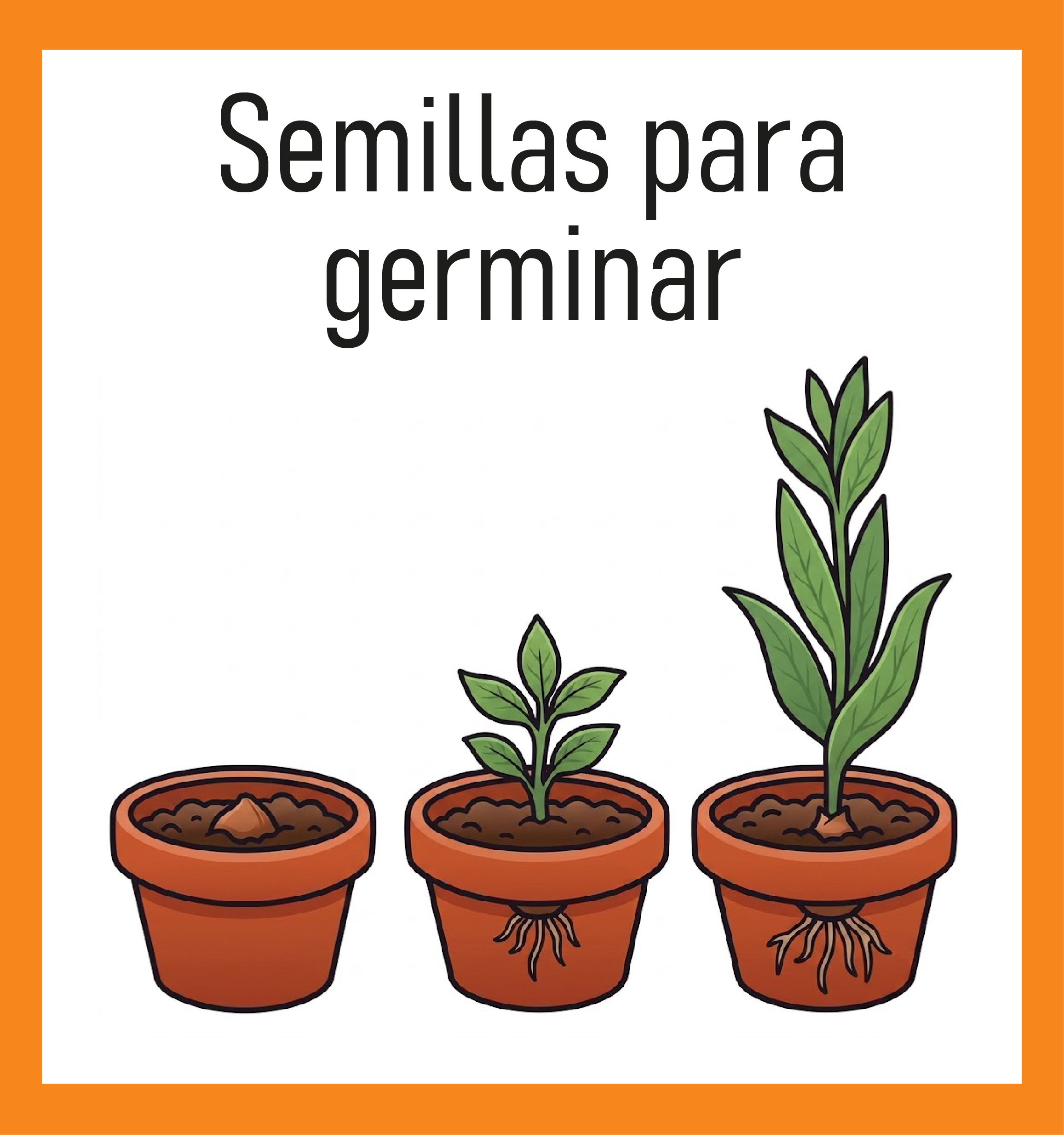  Semillas para germinar