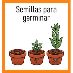  Semillas para germinar
