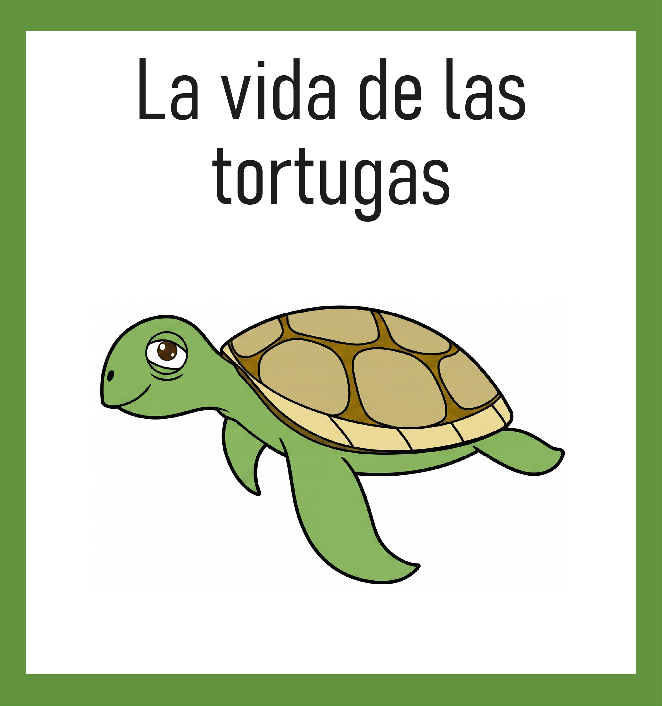 La vida de las tortugas