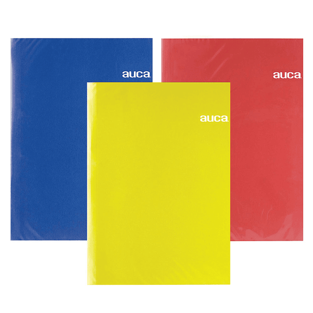 Carpeta Auca Plastificada 24 x 34 cm Colores 1