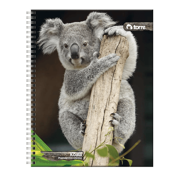 Cuaderno Universitario Torre Clásico Fauna 7 mm 100 h 2