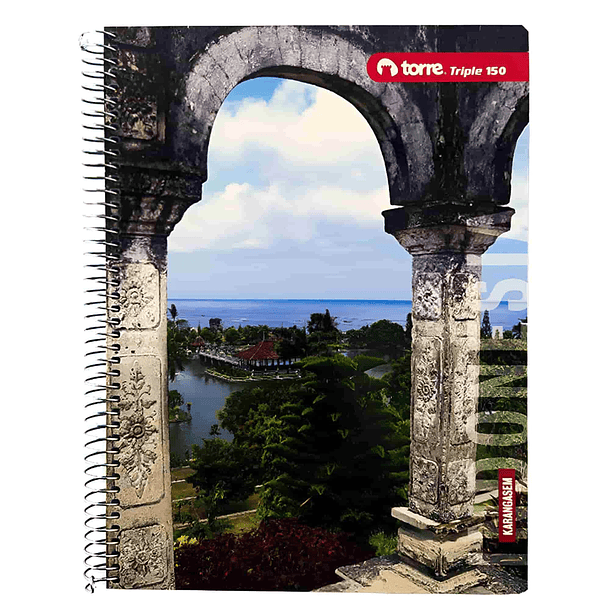 Cuaderno Triple Torre Paisajes 7 mm 150 h 11