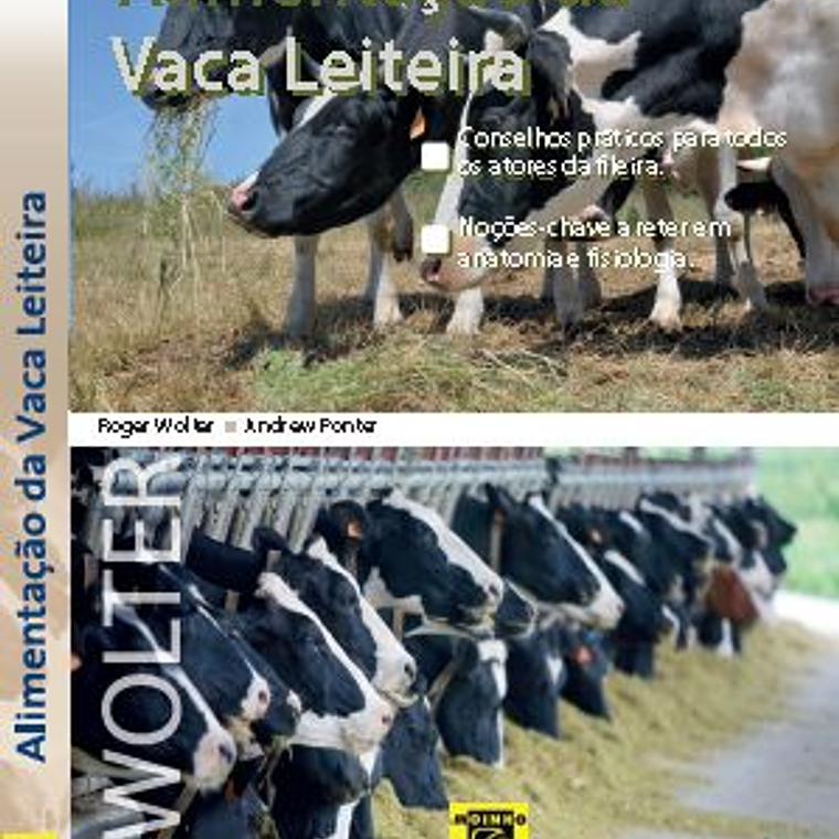 ALIMENTAÇÃO DA VACA LEITEIRA 1