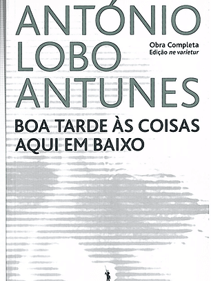 BOA TARDE ÀS COISAS AQUI EM BAIXO