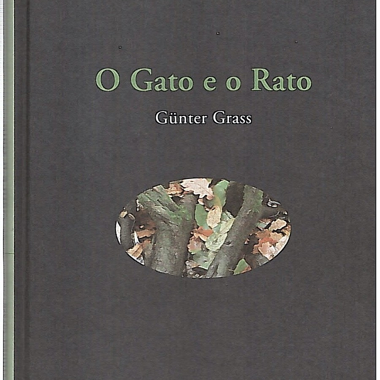 O GATO E O RATO 1