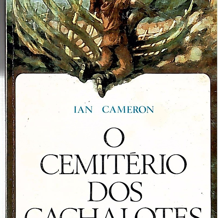 O CEMITÉRIO DOS CACHALOTES 1