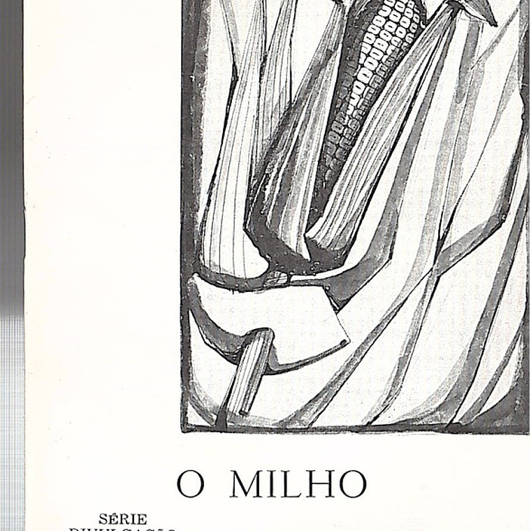 O milho 1