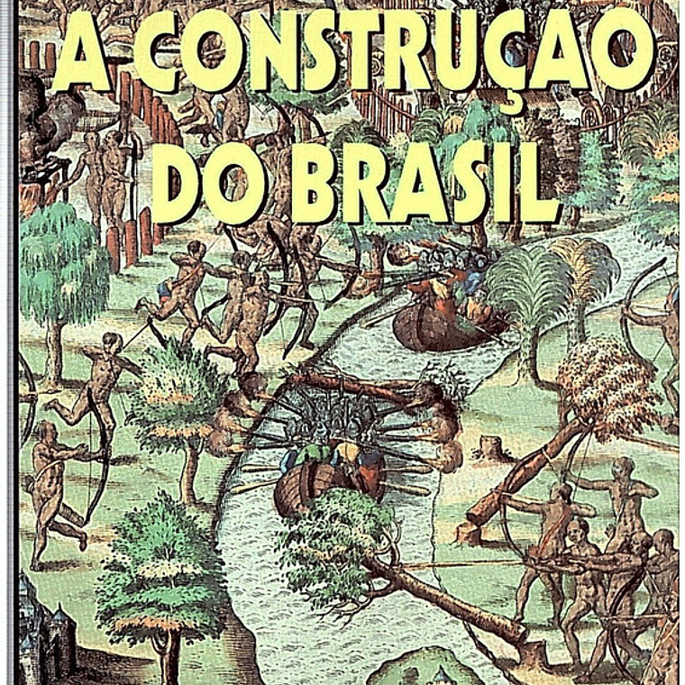 A construção do brasil 1