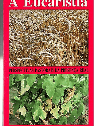 A eucaristia Perspectivas pastorais da presença real