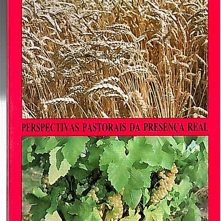 A eucaristia Perspectivas pastorais da presença real 1
