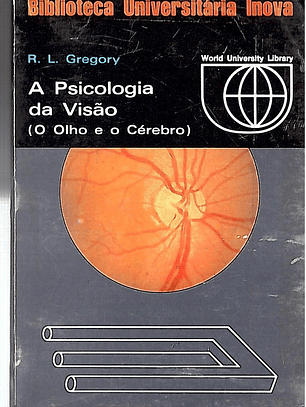 A psicologia da visão