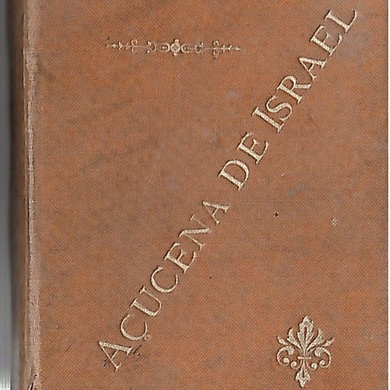 Açucena de Israel 1