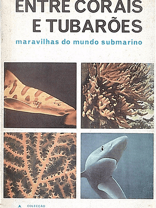 Entre corais e tubarões