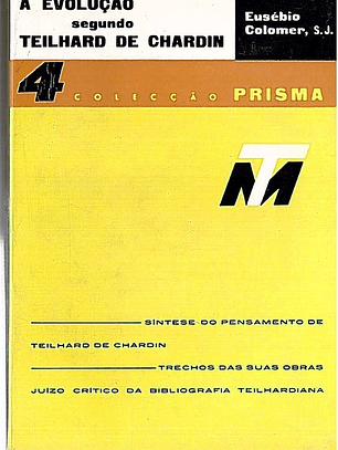 A revolução segundo Teilhard de Chardin