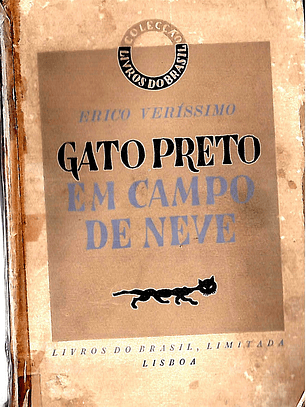 Gato preto em campo de neve