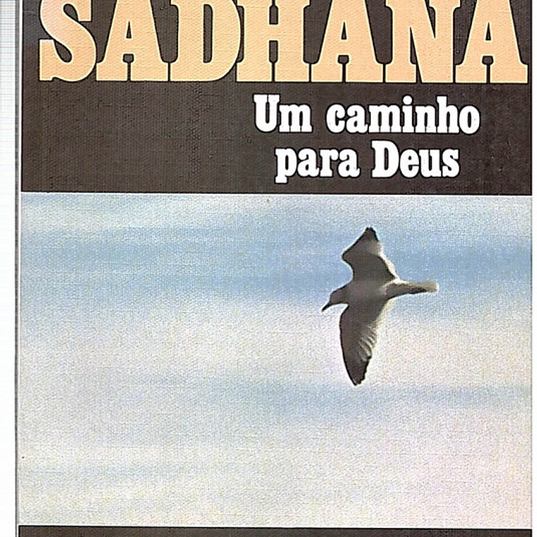 Sadhana um caminho para Deus 1