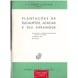Plantações de eucaliptos Acácias e seu arranque