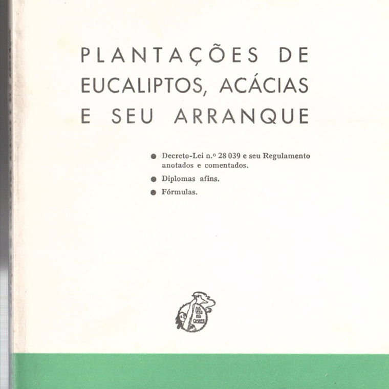 Plantações de eucaliptos Acácias e seu arranque 1