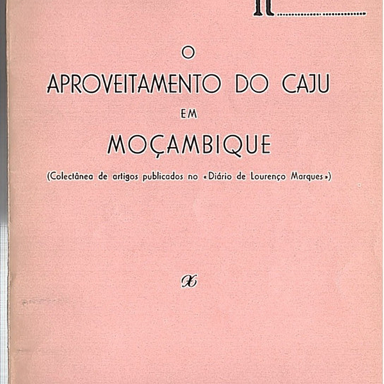 O aproveitamento do caju em Moçambique 1