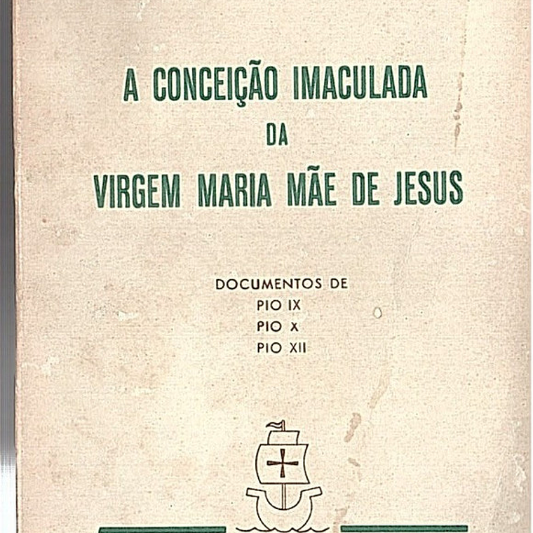 Conceição Imaculada da virgem mãe de Jesus 1