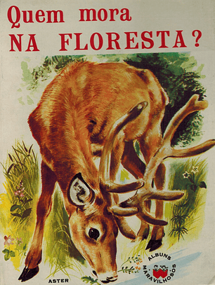 Quem mora na floresta 