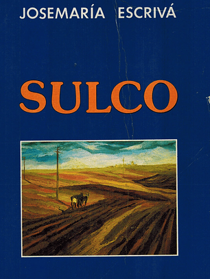 Sulco
