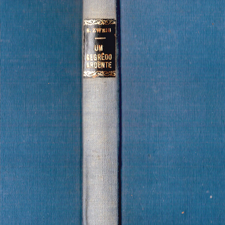 Um segredo ardente 1