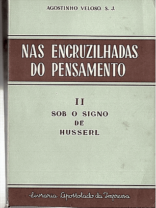 Nas encruzilhadas do pensamento - Sob o signo de Husserl