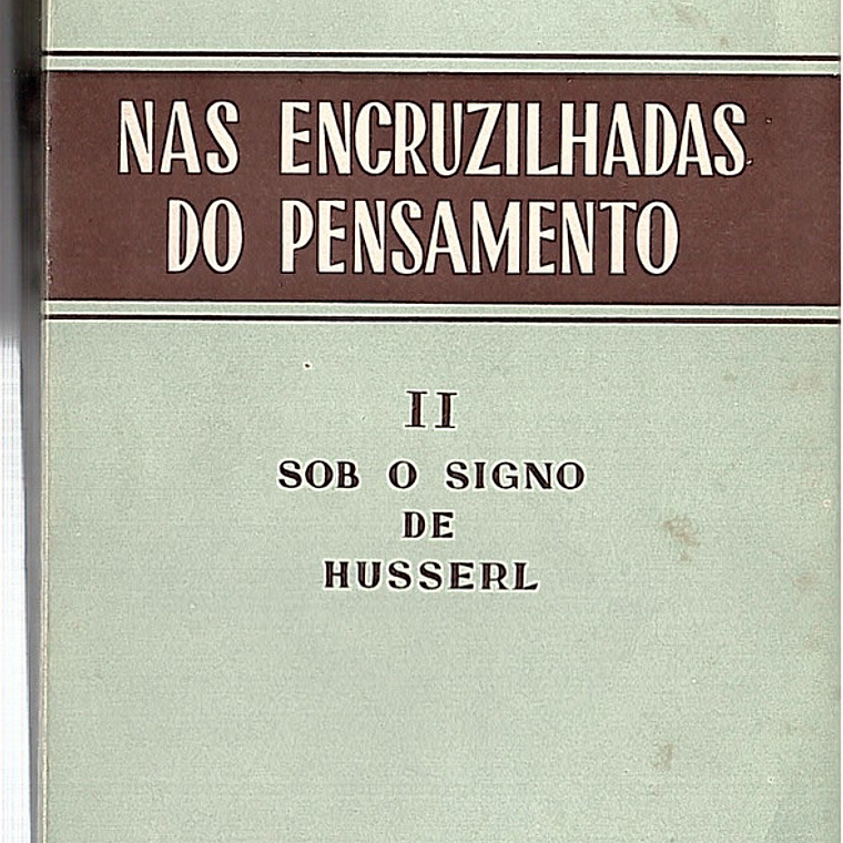 Nas encruzilhadas do pensamento - Sob o signo de Husserl 1