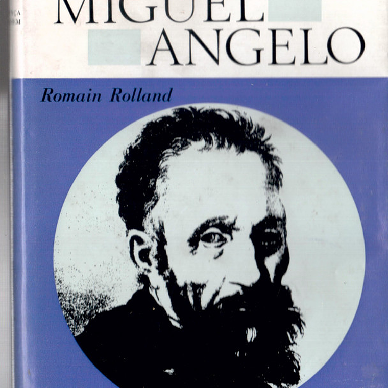 Vida de Miguel Ângelo 1