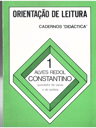 Orientação de leitura - cadernos didática - Constantino