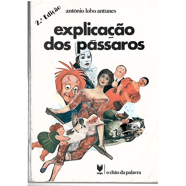 Explicação dos pássaros