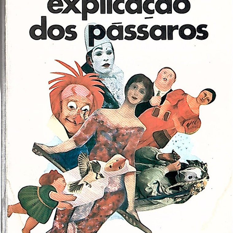 Explicação dos pássaros 1