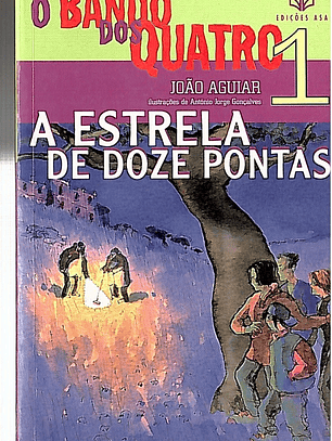 A estrela de doze pontas