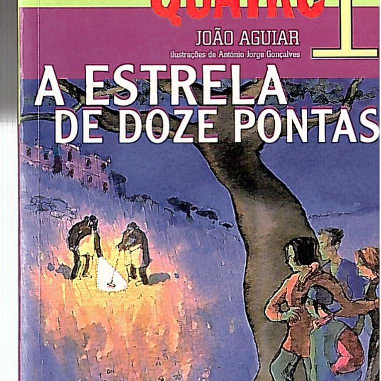 A estrela de doze pontas 1