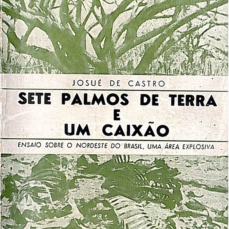 Sete palmos de terra e um caixão 1
