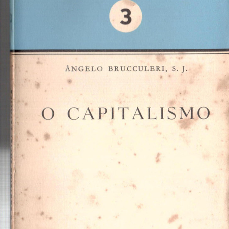 O capitalismo 1