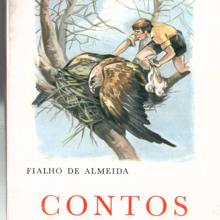 Contos 1