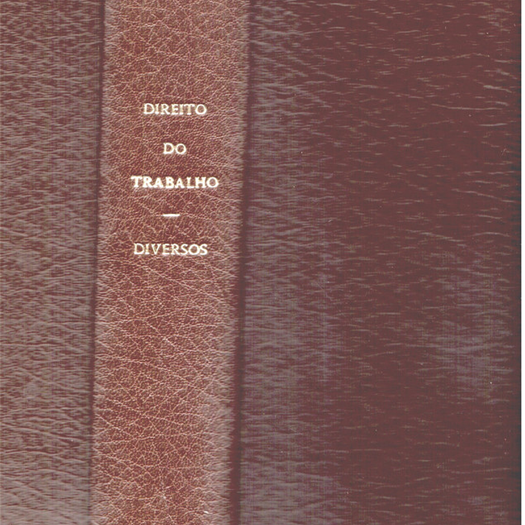 Direito do trabalho - A empresa e o empregador 2