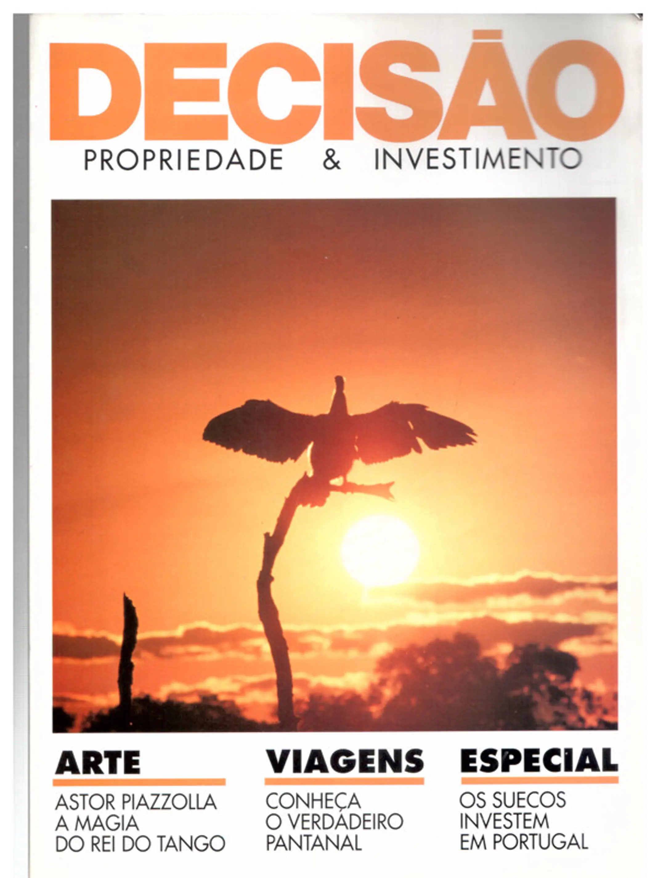 Decisão propriedade e investimento 1