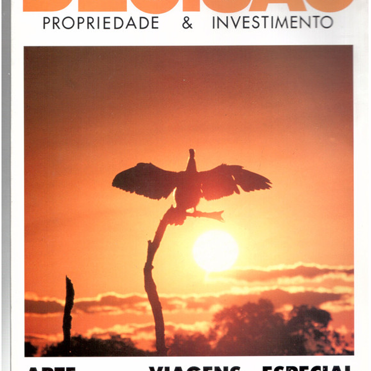 Decisão propriedade e investimento 1