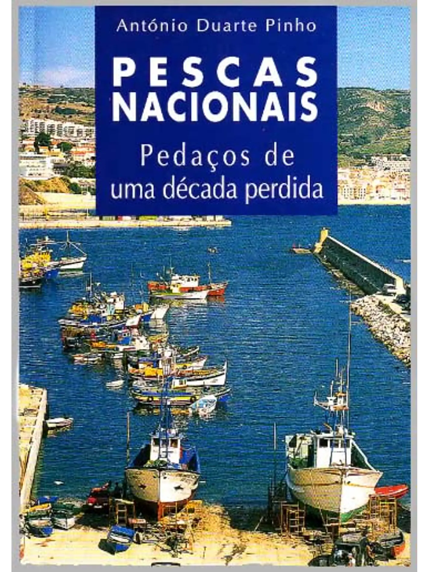 Pescas Nacionais Pedaços de uma Década Perdida 1