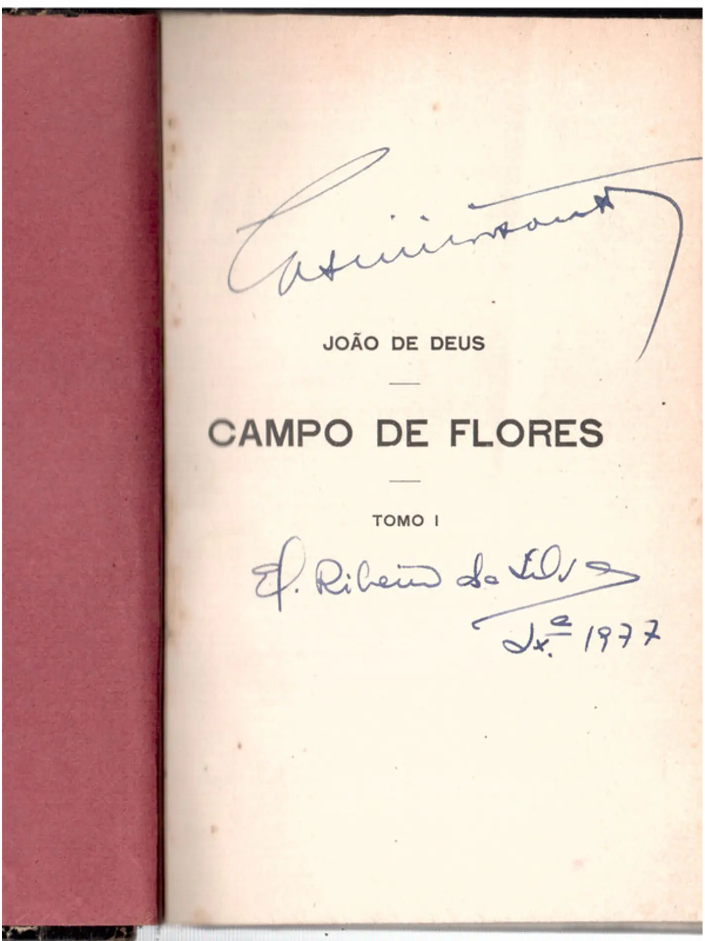 Campo de flores volume um 2