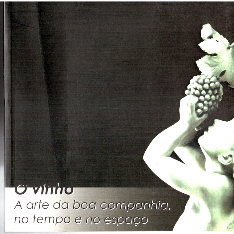 O vinho a arte da boa companhia no tempo e no espaço 1