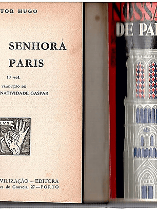 Nossa Senhora de Paris - Volume 2