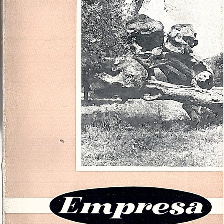 UCIDT - Revista de temas económico sociais 1