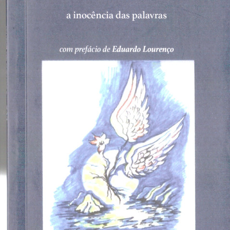 Luz a inocência das palavras 1