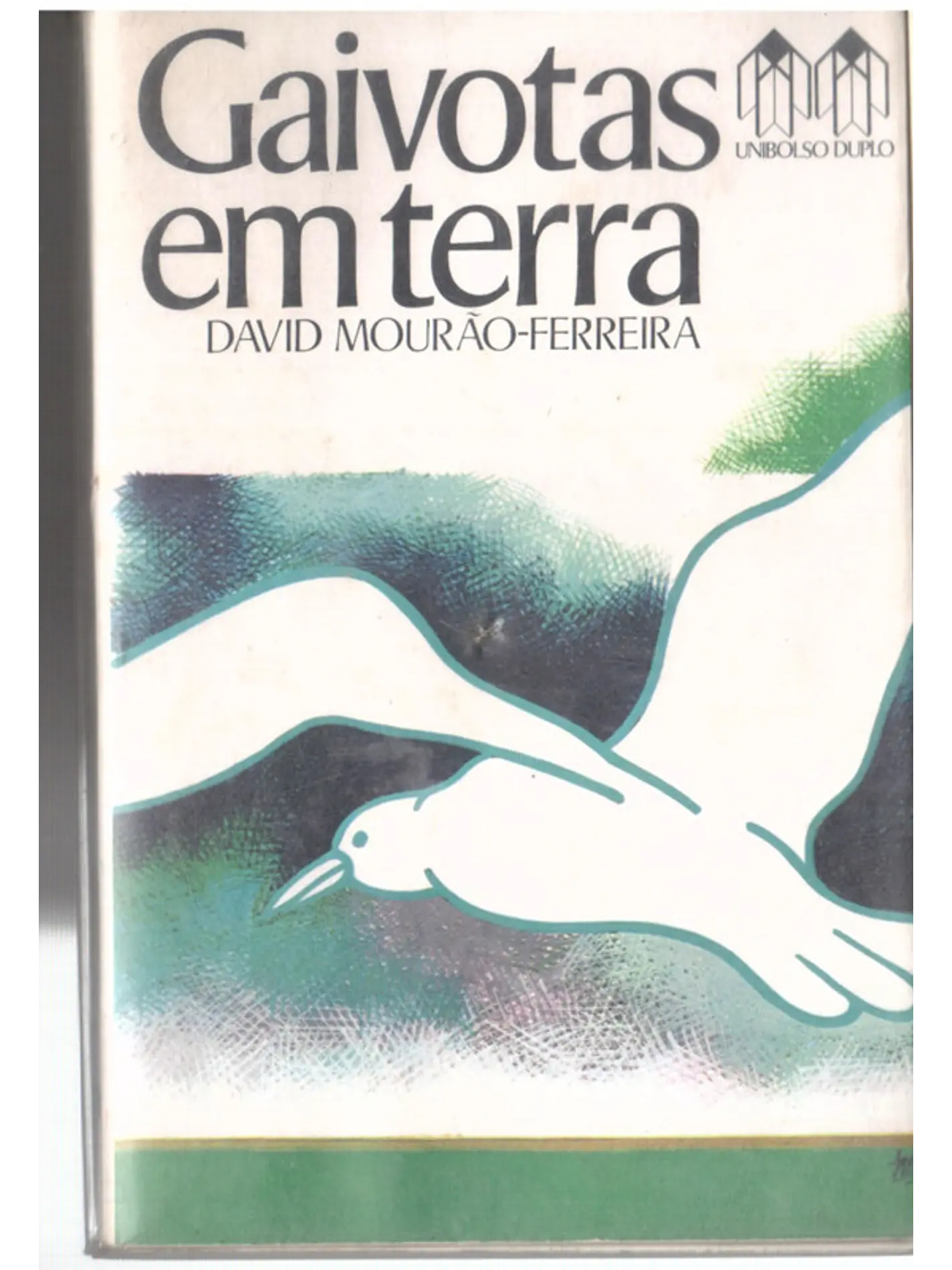 Gaivotas em terra 1